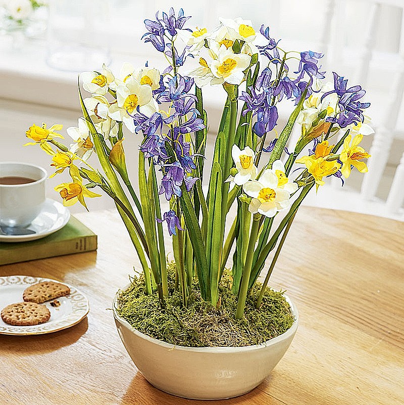Buy Daffodils & Bluebells Arrangement from Museum Selection.