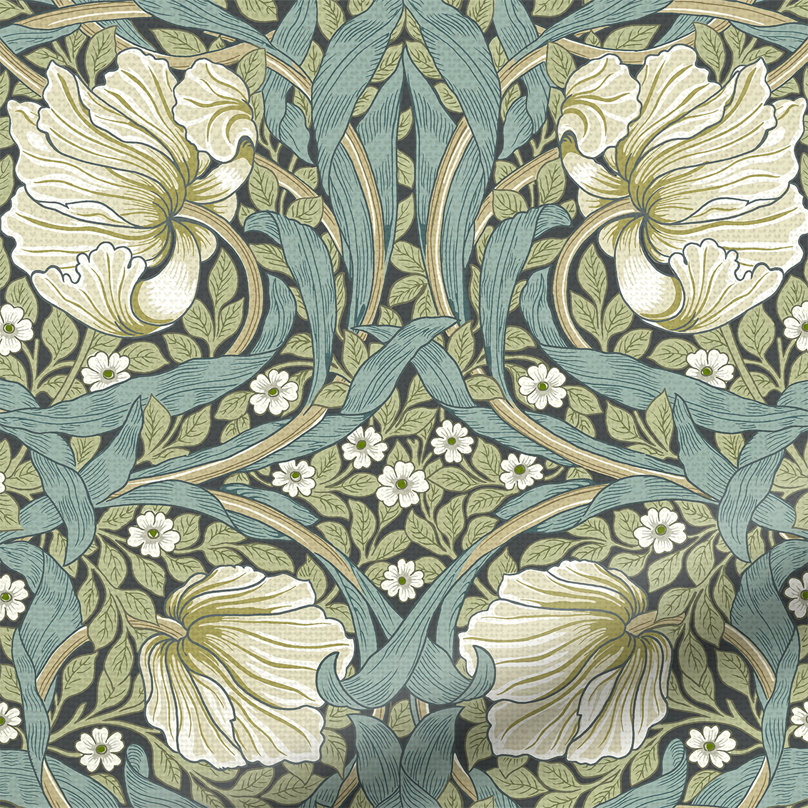 Pimpernel