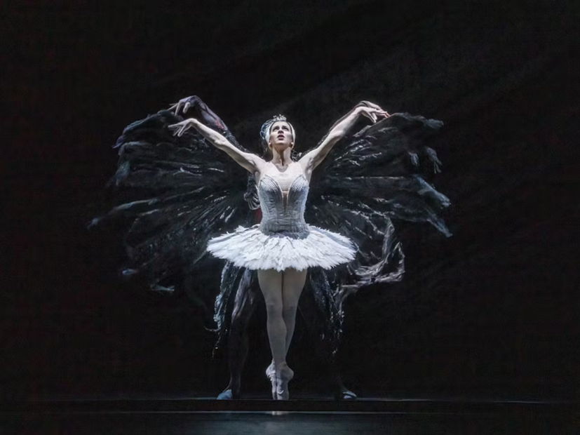 Royal Ballet Swan Lake