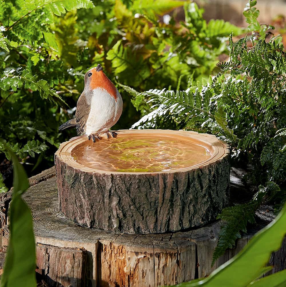 Robin Bird Bath