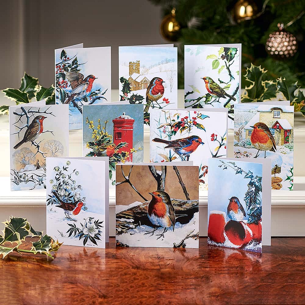 Set of 40 Wintry Robin Christmas Cards Museum Selection