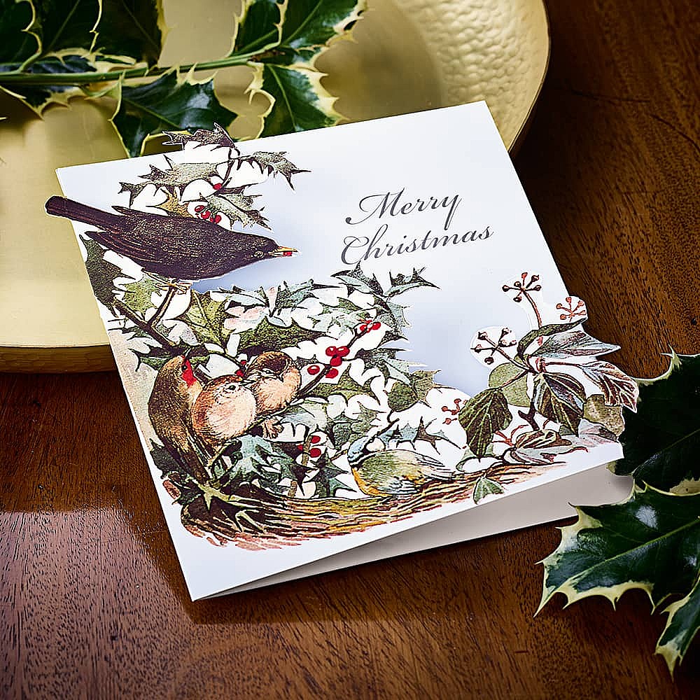 Christmas christmas cards Clearance
