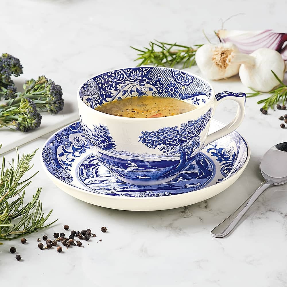 Spode cup and saucer cheap
