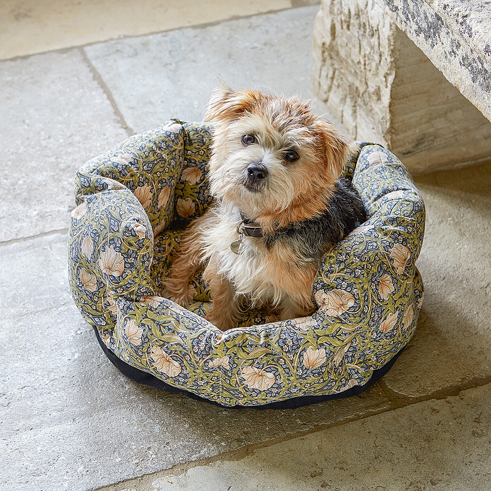 Medium pet bed discount