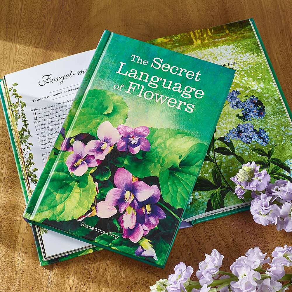 The Secret Language of Flowers | Museum Selection